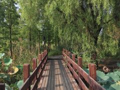 -长兴太湖图影湿地文化园