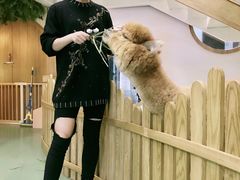 -藦茜花园宠物主题亲子互动体验馆(国顺东路店)