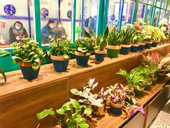 -BOBLOOM花店(宝龙旭辉广场店)