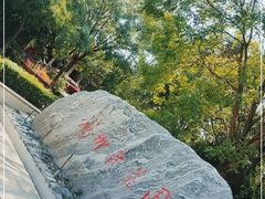 -杨柳青庄园