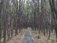 -同里国家湿地公园