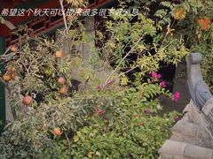 -火火咖啡&茶空间