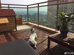 -钱江新城灯光秀