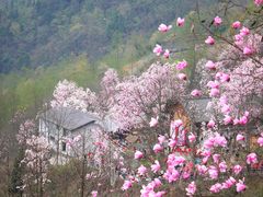 -九皇山景区