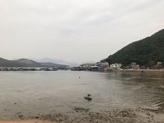 -中环4号渡轮码头