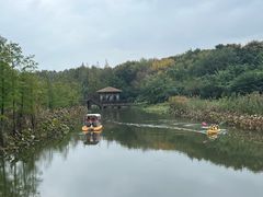 -同里国家湿地公园