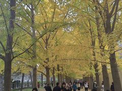 -钓鱼台国宾馆