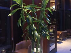 -green essence 青籁优体(三里屯店)