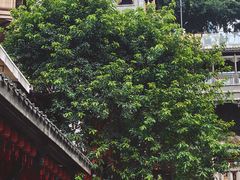 -重庆十八梯传统风貌区