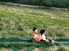 -原山国家森林公园