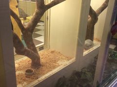 橱窗-龙猫仔乐园(惠福东路店)