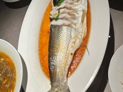 -醉庐·新上海菜(南京西路店)