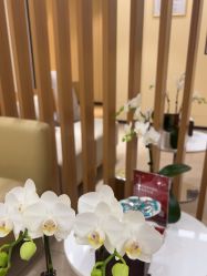 -Yestar宁波艺星整形医院