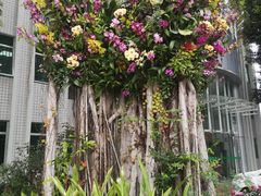 -人民公园(罗湖区)