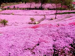-昆嵛山石门里景区