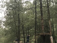 -梦幻奥陶纪景区