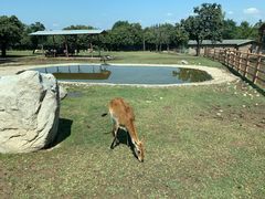 -西安秦岭野生动物园