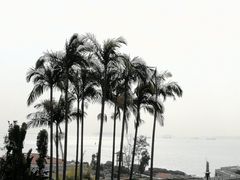 -鼓浪屿钢琴博物馆