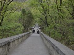 -嵩山少林文化旅游景区