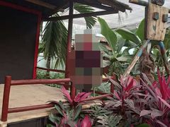 -呀路古热带植物园
