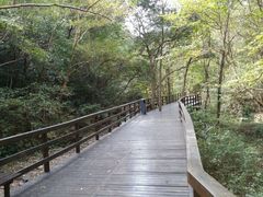 android_upload_pic-天明山温泉大酒店