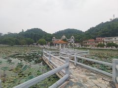 -红山村
