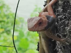 -飞霞风景名胜区