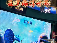 -暹罗海洋世界