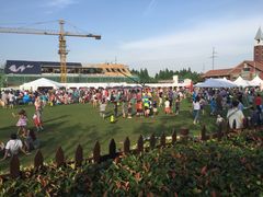 德威英国国际学校小学部-上海德威外籍人员子女学校(浦东校区)