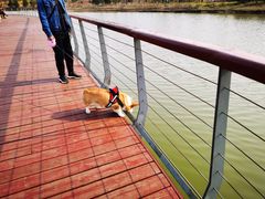 -东郊湿地公园