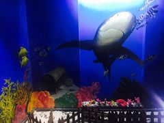 -船奇蒸汽海鲜·闽菜(八市海鲜总店)