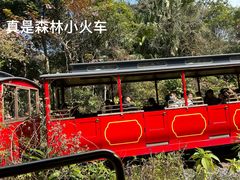 -深圳东部华侨城茵特拉根酒店