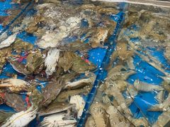 -半岛听涛蒸汽海鲜自助(K11店)