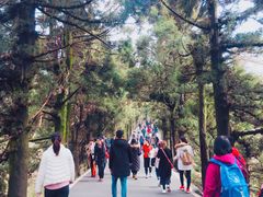 -南岳衡山风景名胜区