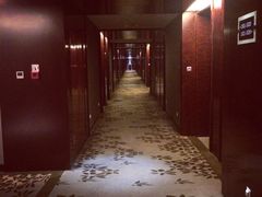 环球恐龙城维景国际大酒店-常州环球恐龙城维景国际大酒店