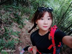 -羚羊峡古栈道森林公园