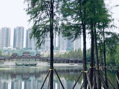 -重庆彩云湖湿地公园
