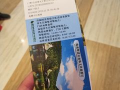 -呀诺达热带雨林