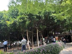 -胡里山炮台
