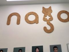 -纳吉亚猫专科动物医院·北北分院