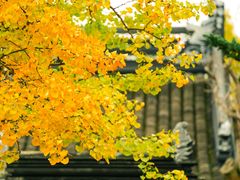 -苏州碑刻博物馆