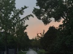 -杭州城北体育公园