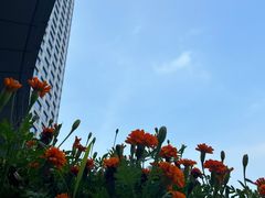 -宁波香格里拉大酒店