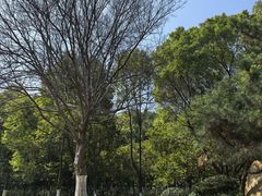 -艾溪湖湿地公园