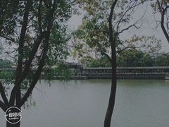 -八大山人梅湖景区