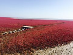 -红海滩国家风景廊道