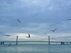 -星海广场