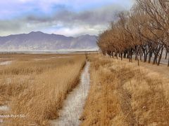 -野鸭湖国家湿地公园