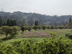 -唐崖土司城遗址