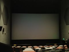 -星河寰宇IMAX影城(星河WORLD·COCO Park店)